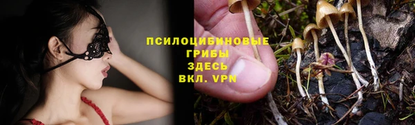 амф Зеленокумск