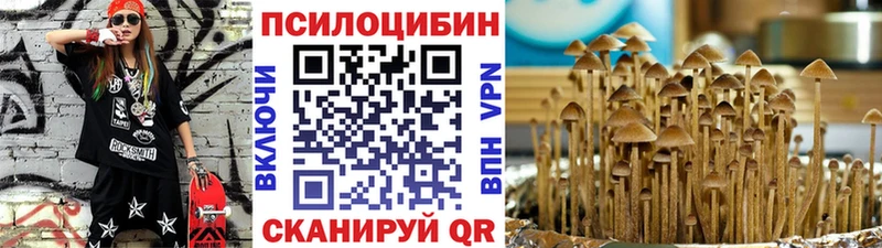 Псилоцибиновые грибы Cubensis  Козельск 